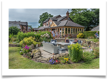 Open Gardens (2) - Kevin Shade